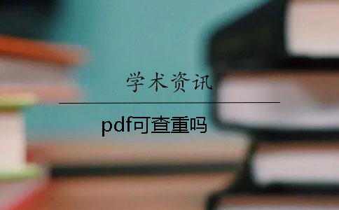 pdf可查重吗？