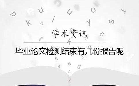 毕业论文检测结束有几份报告呢