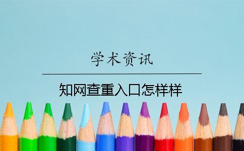 知网查重入口怎样样