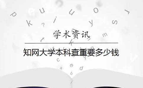 知网大学本科查重要多少钱