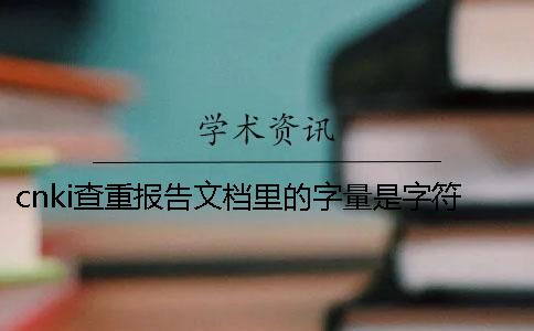 cnki查重报告文档里的字量是字符数数是字量